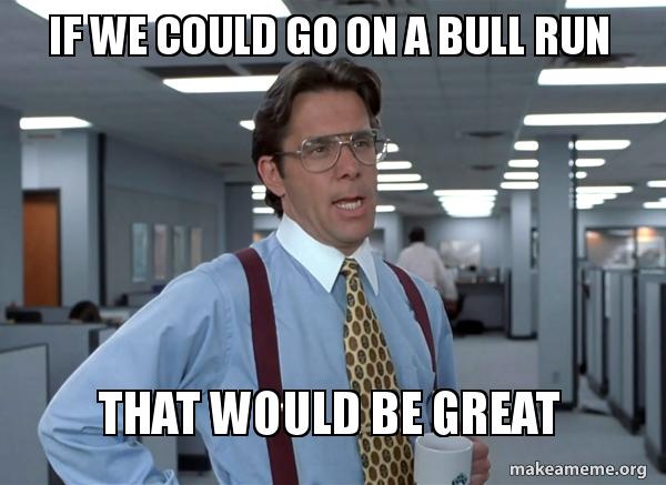 If We Go On A Bull Run That Would Be Great - Crypto Memes