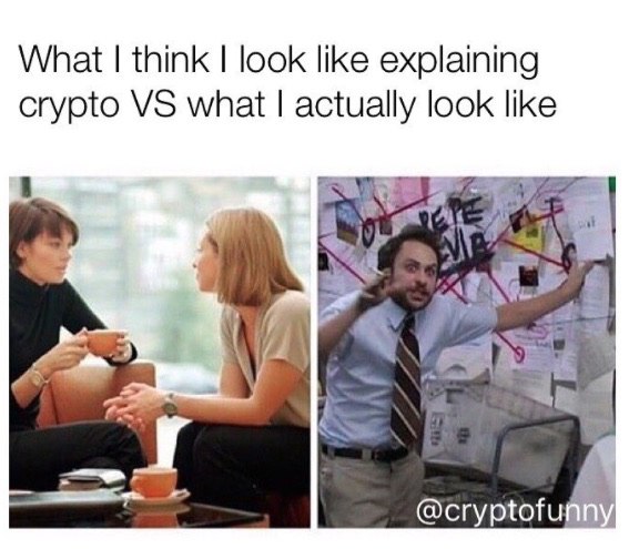 What I Think I Look Like Explaining Crypto vs What I Actually Look Like - Crypto Memes
